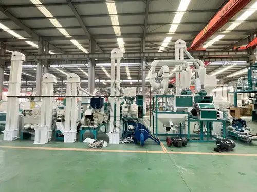 Complete 10TPD Maize Flour Production Line