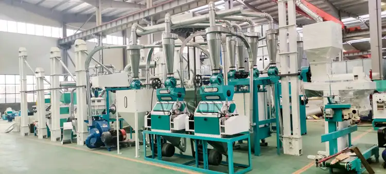 Voson Medium-Scale Maize Milling Plant 20TPD – Full Plant Overview