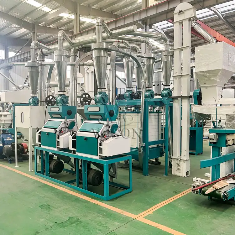 Dual-Roller Mill for 20TPD Maize Flour Production – Voson