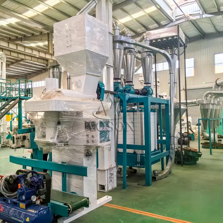 Weighing and Packaging System for 20TPD Maize Plant