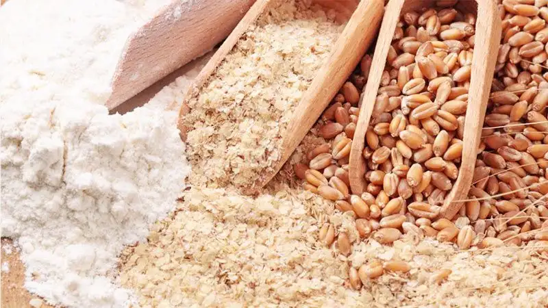 Final flour in Voson 60 ton wheat milling line