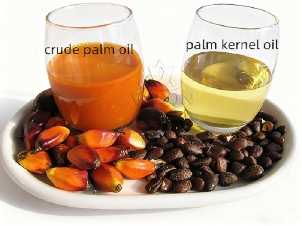 Bottled, canned, and bulk refined palm oil