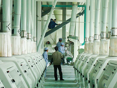 Turnkey Flour Milling Project by Henan Voson in Africa