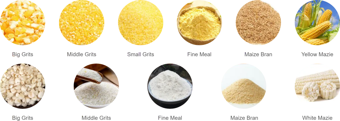 maize-solutions-design