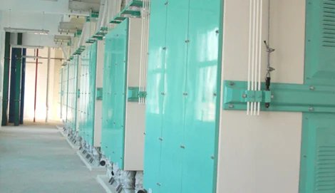 maize-solutions-sieving