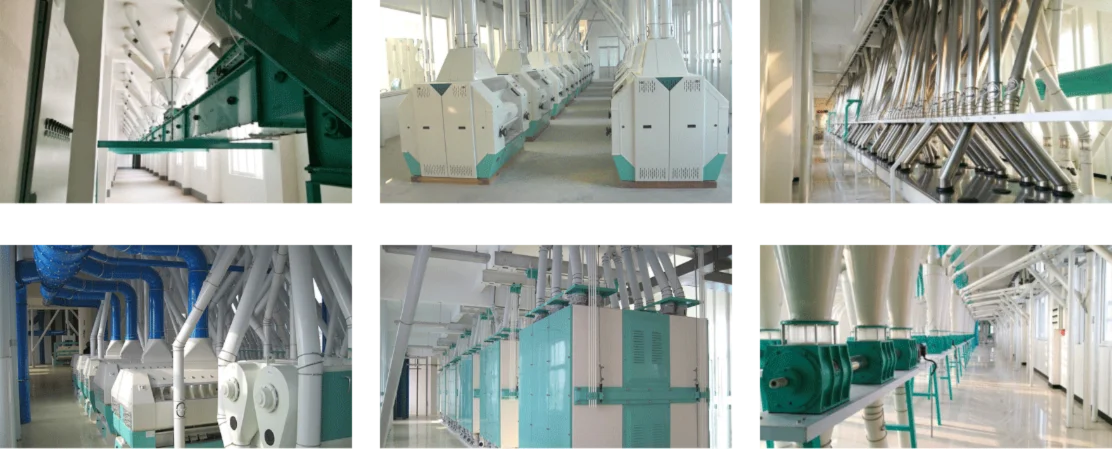 wheat-solutions-design